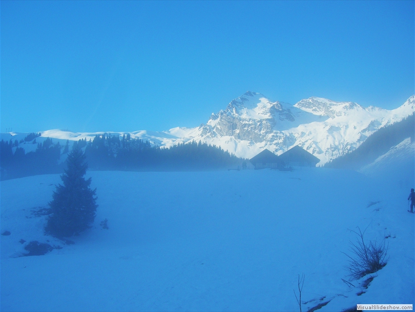 Landschaft-005
