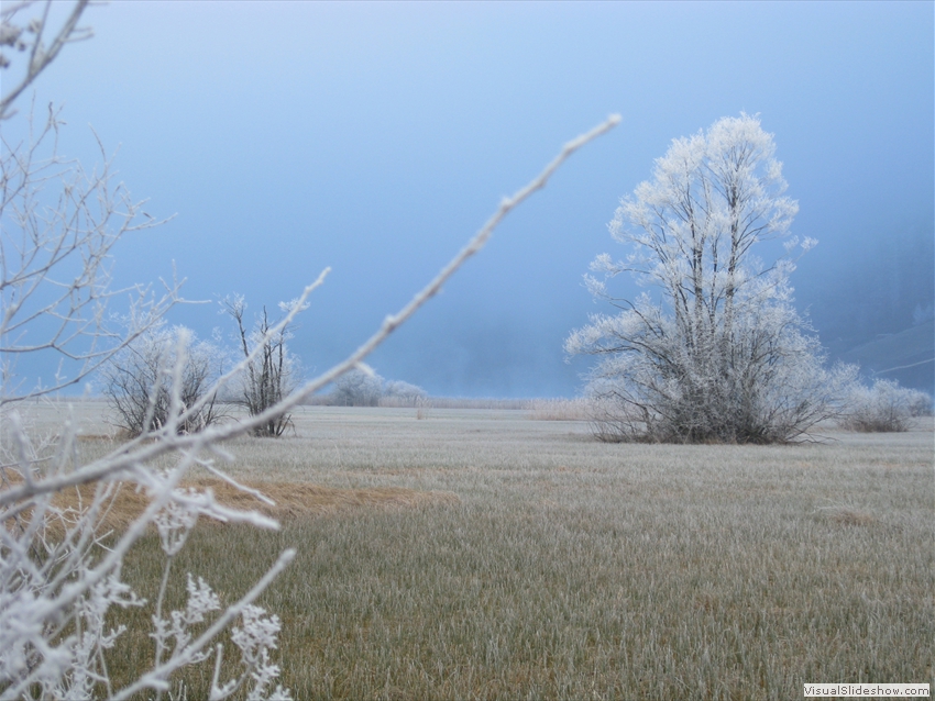 Landschaft-025