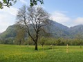 Landschaft-039